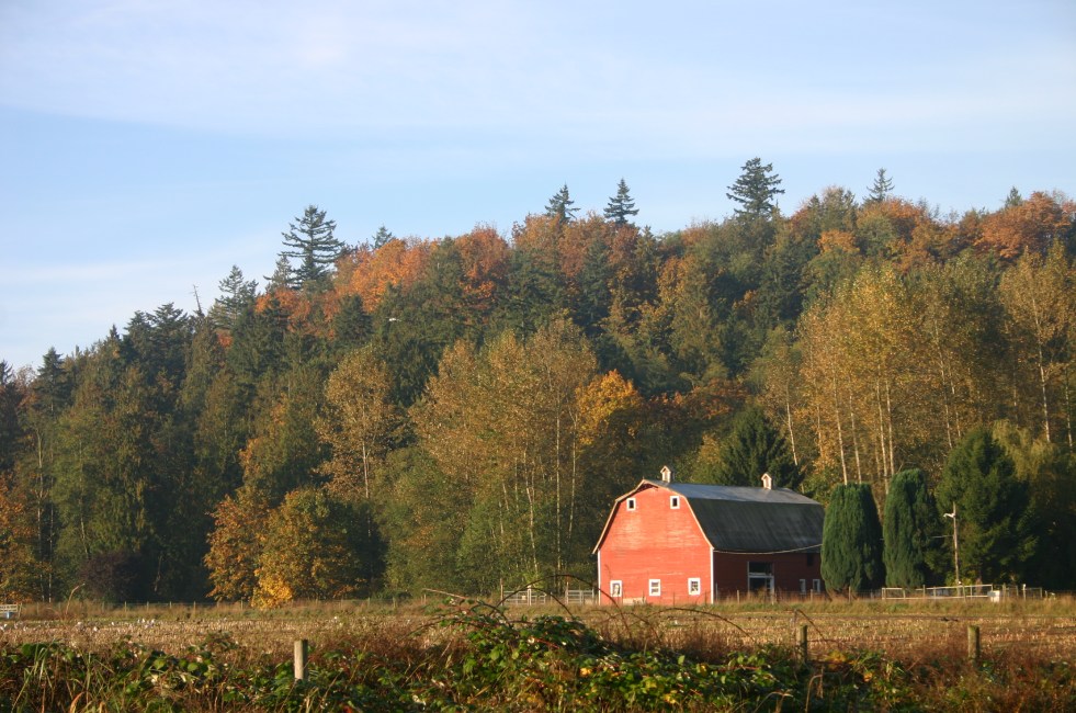 Fall Well Water Maintenance EDS Pumps & Water Treatment