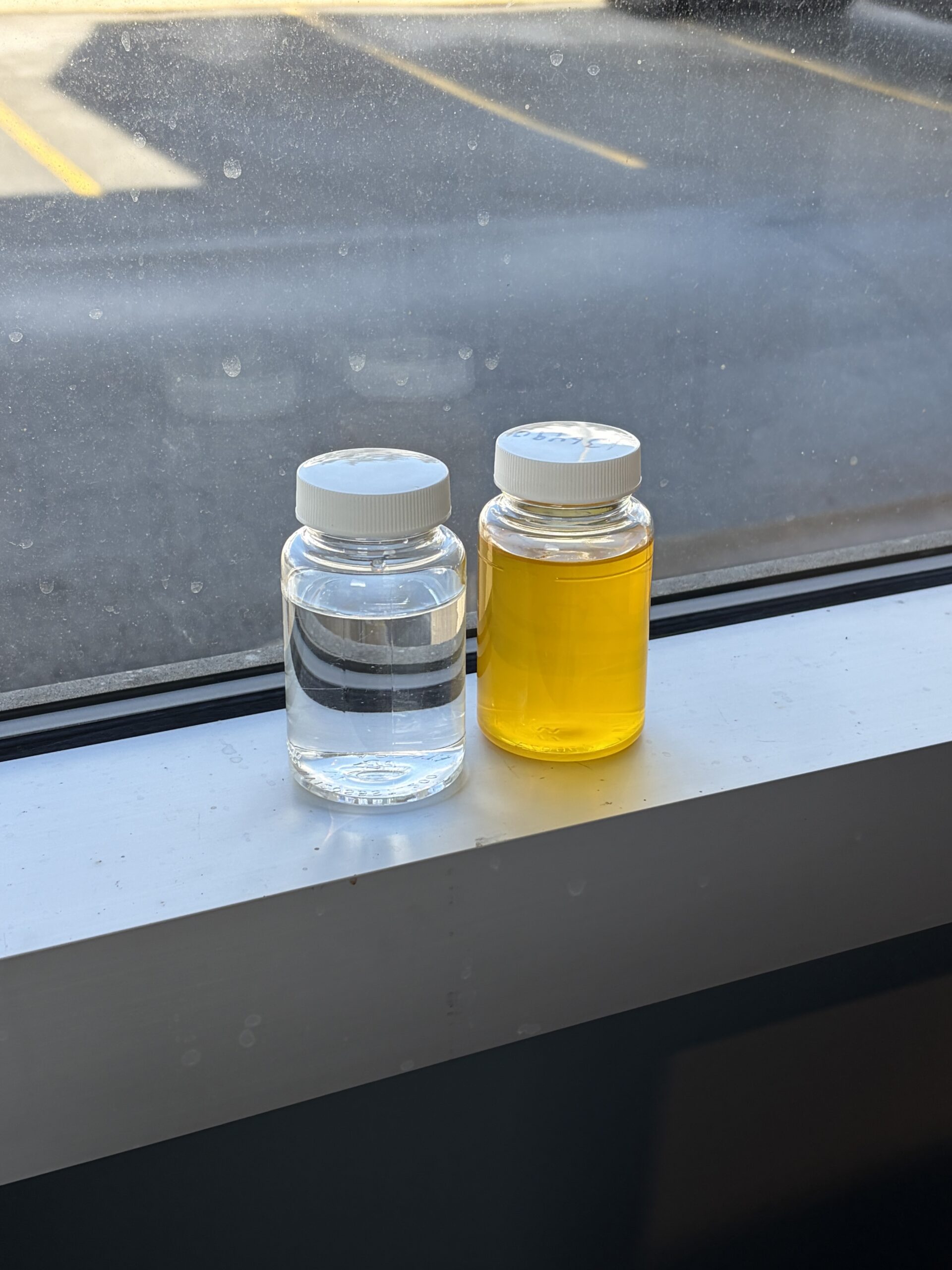 Bacteria Well Water Testing